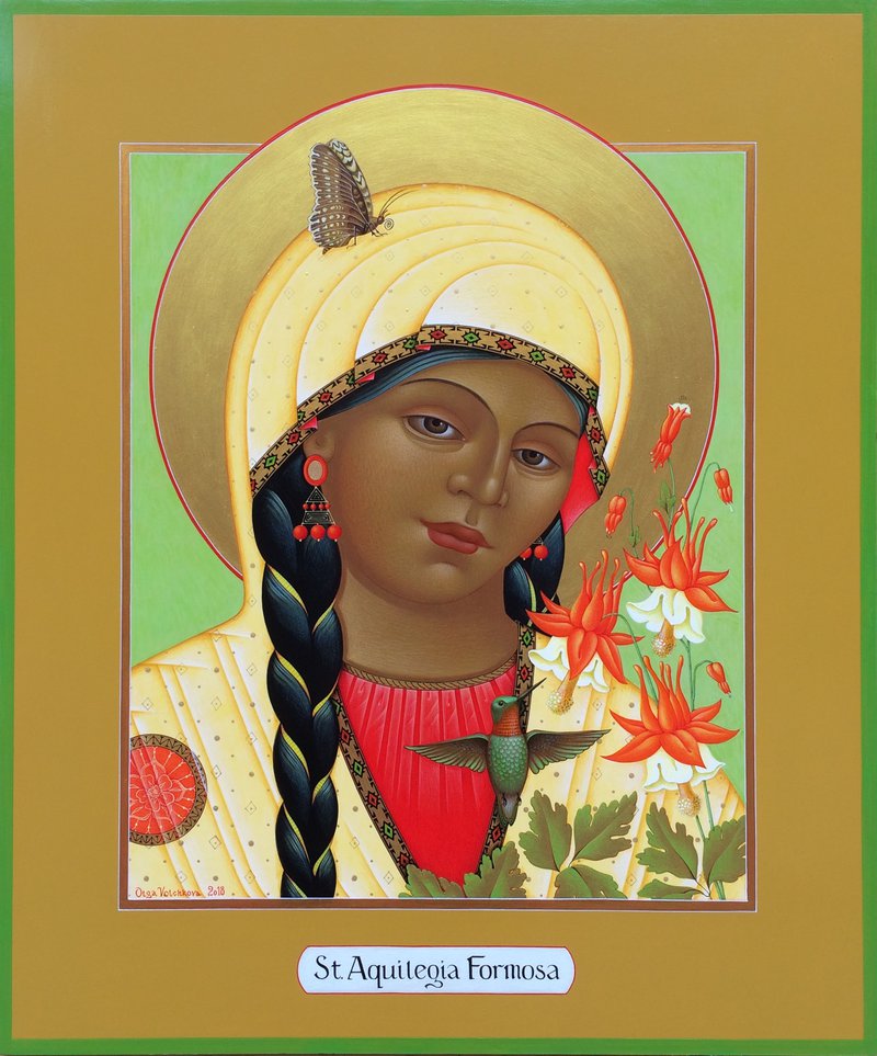 St. Aquilegia Formosa